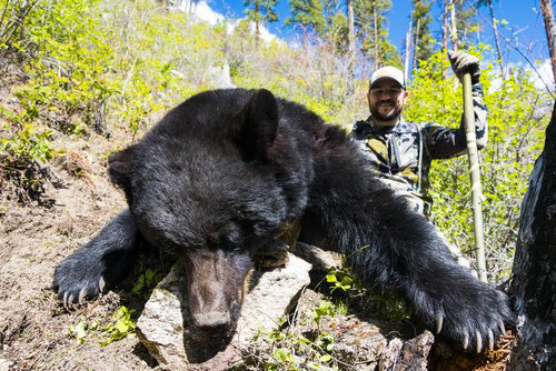 Spring Bear Hunts
