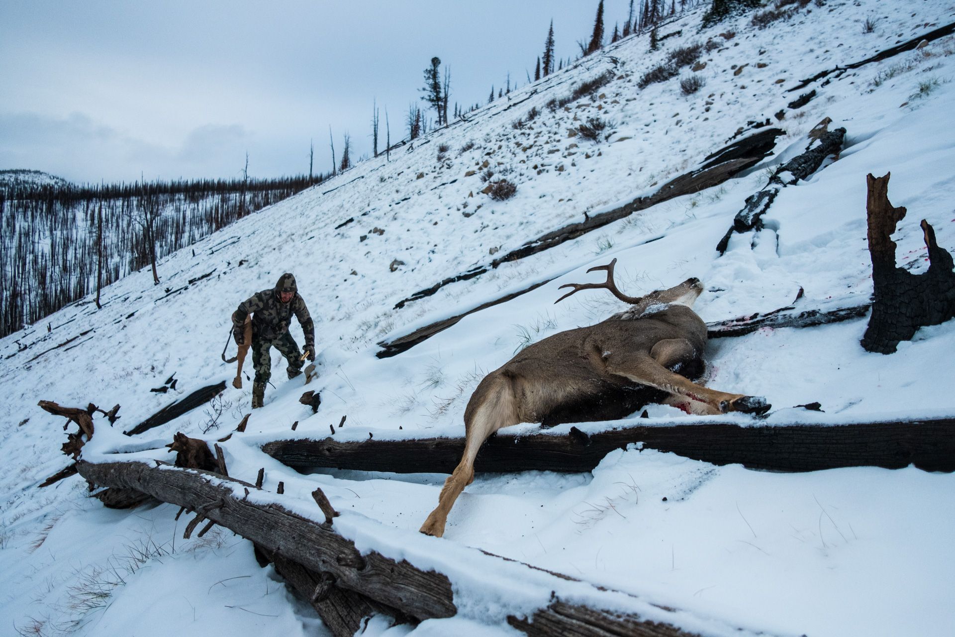 Hunter in challenging terrain during guided elk or mule deer hunt