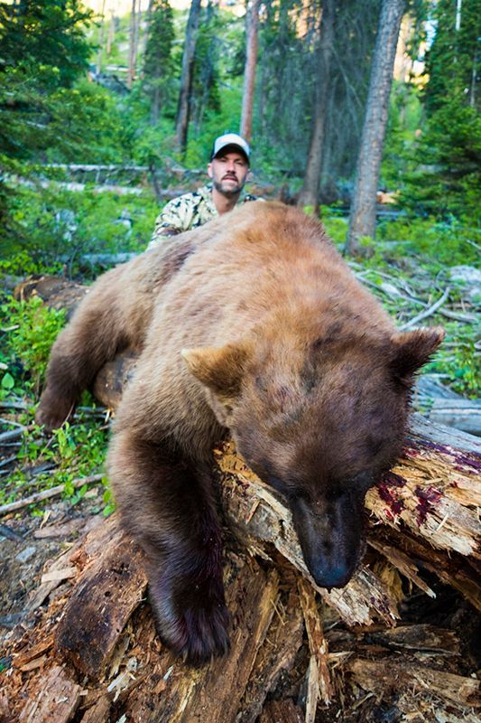 Spring Bear Hunts
