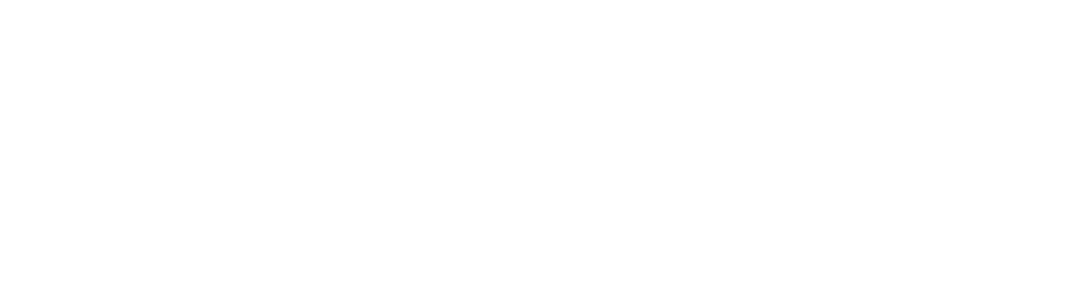 Wilderness Mule Outfitting Logo