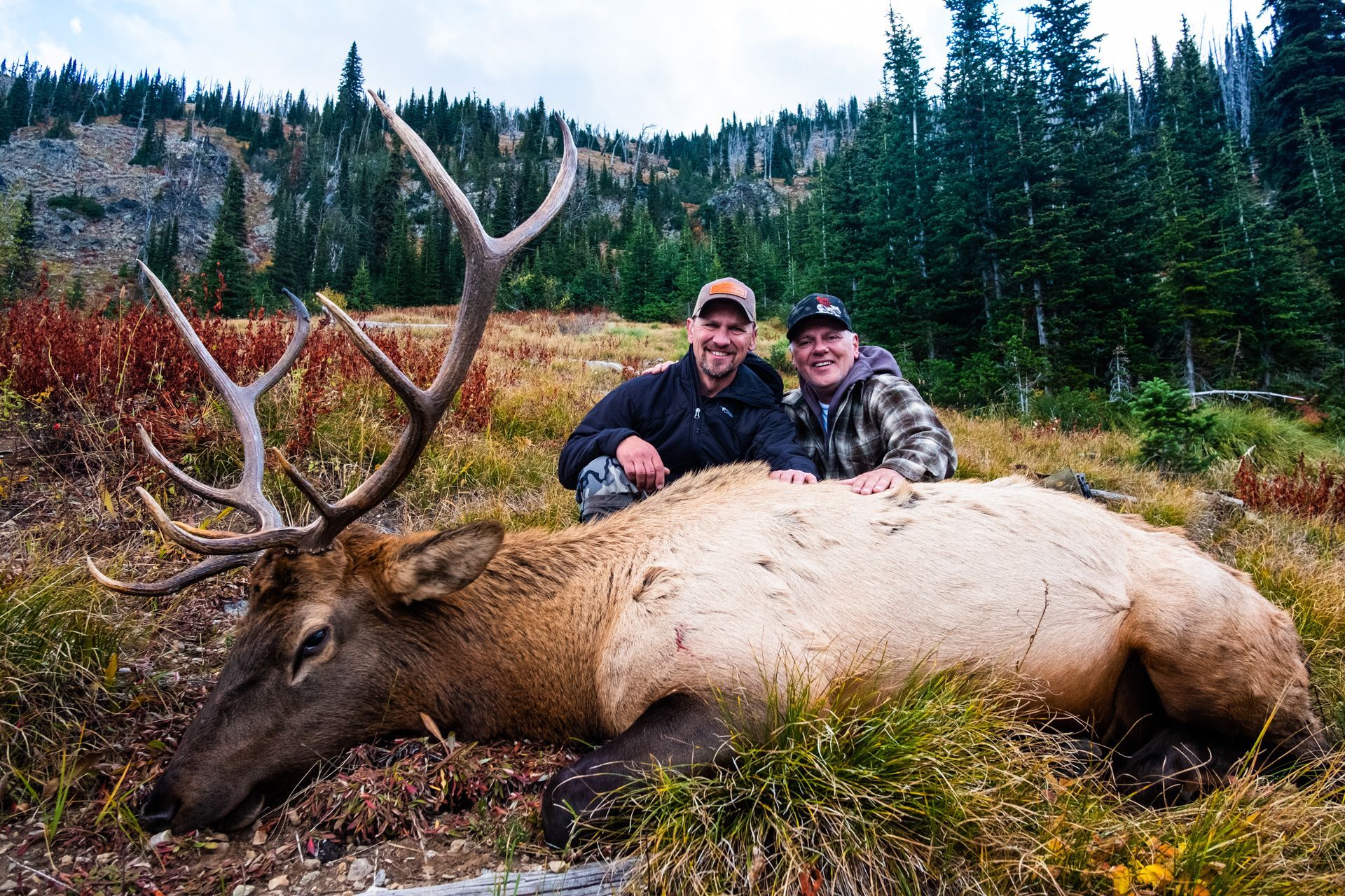 Father and son with elk in the Frank Church Wilderness