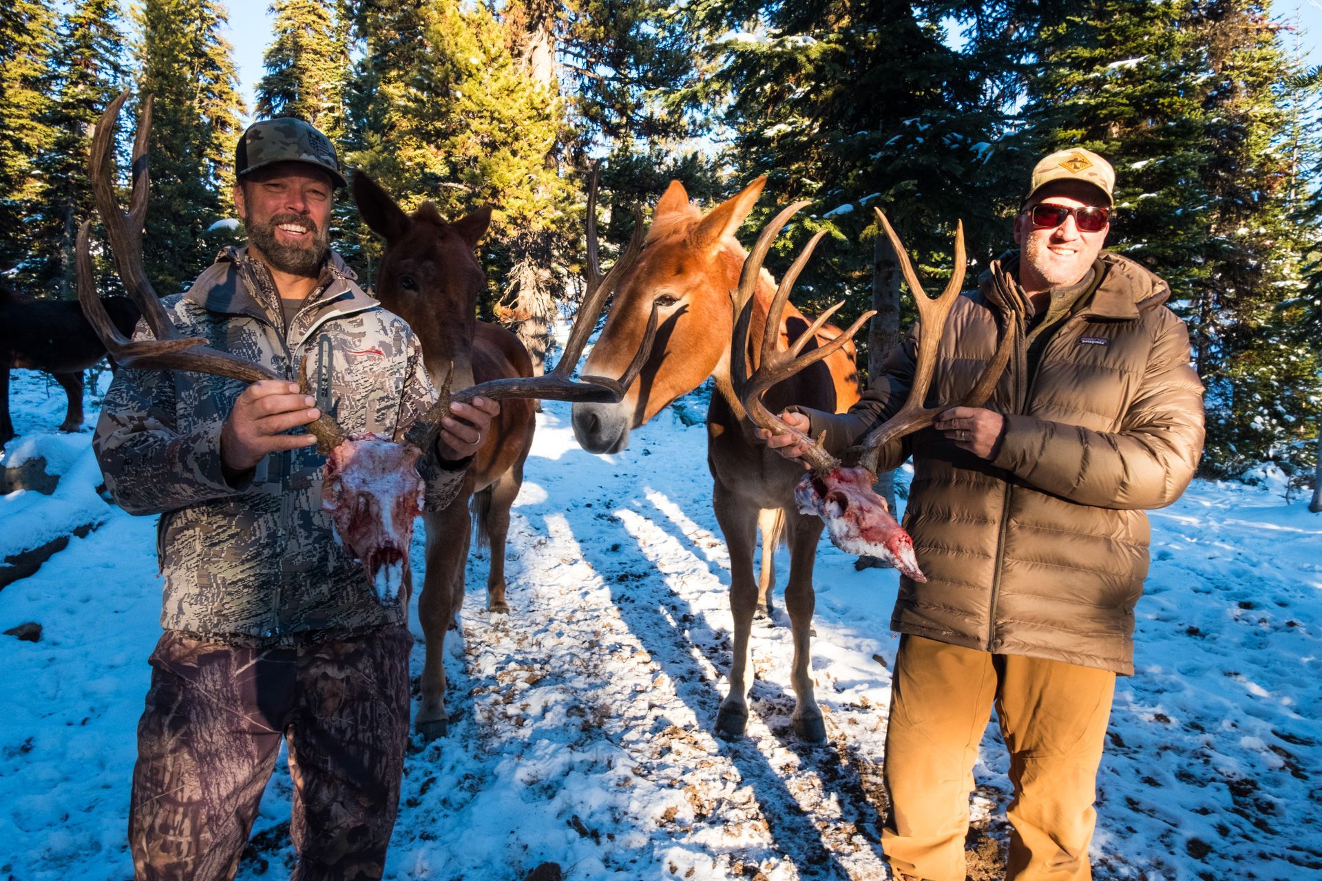 guided mule deer harvest in Frank Church Wilderness
