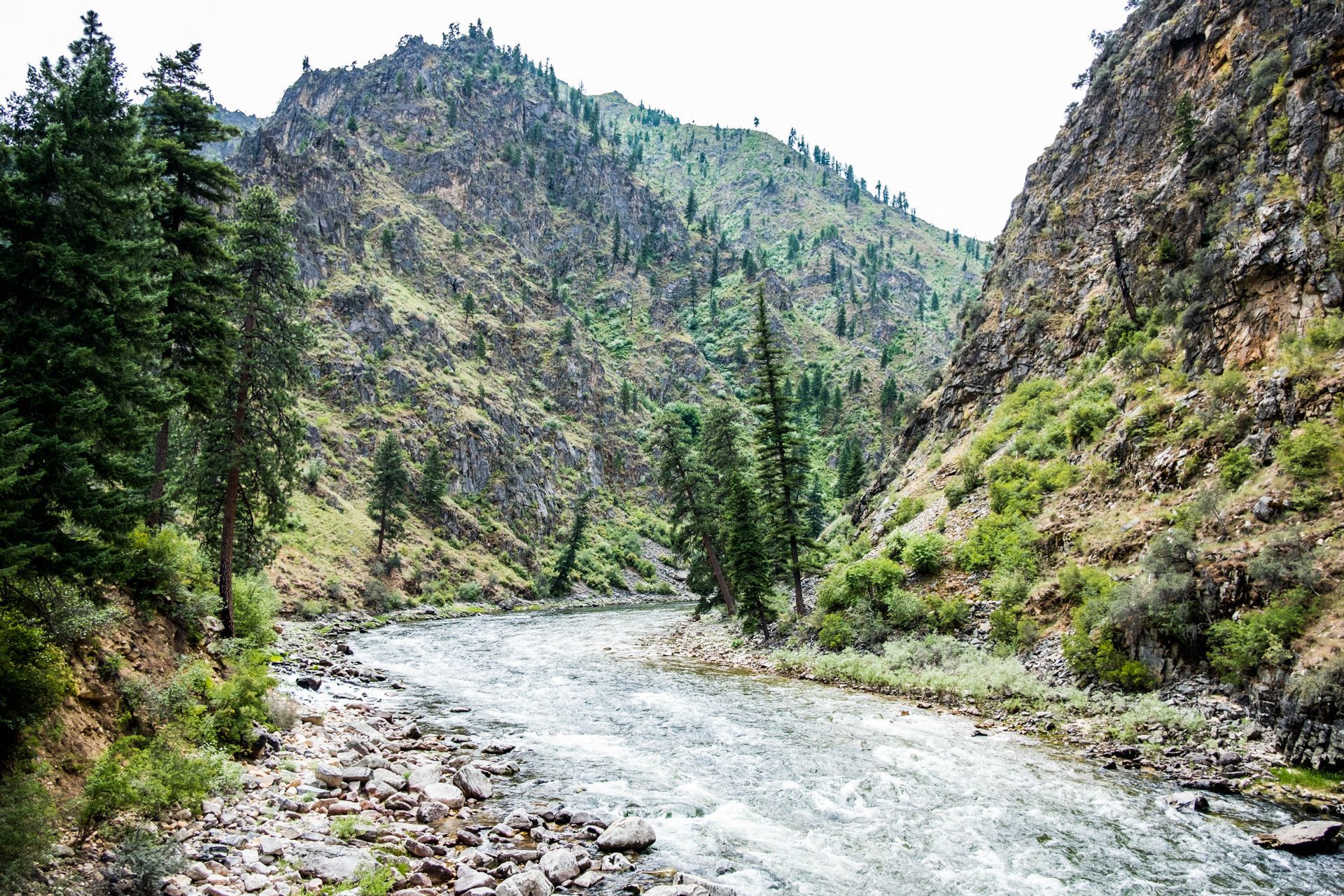 Wilderness Mule Outfitters