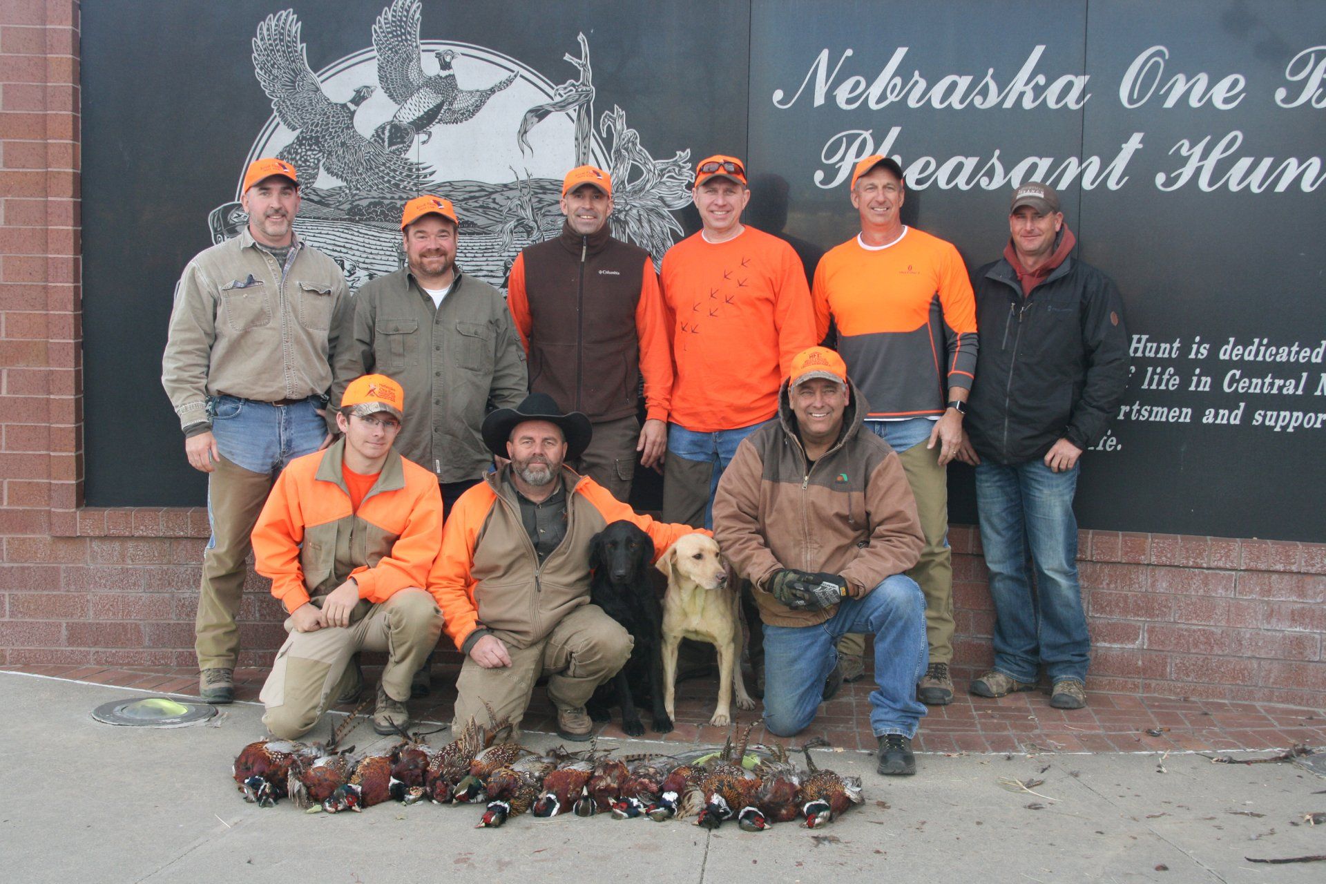 Group of pheasant hunters in orange gear pose with dogs and birds.