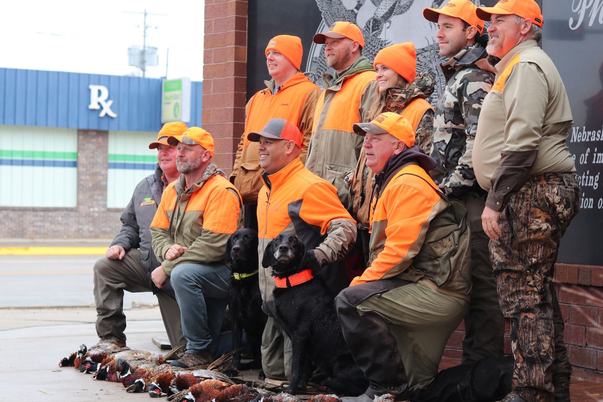 Group of pheasant hunters in orange gear pose with dogs and birds.