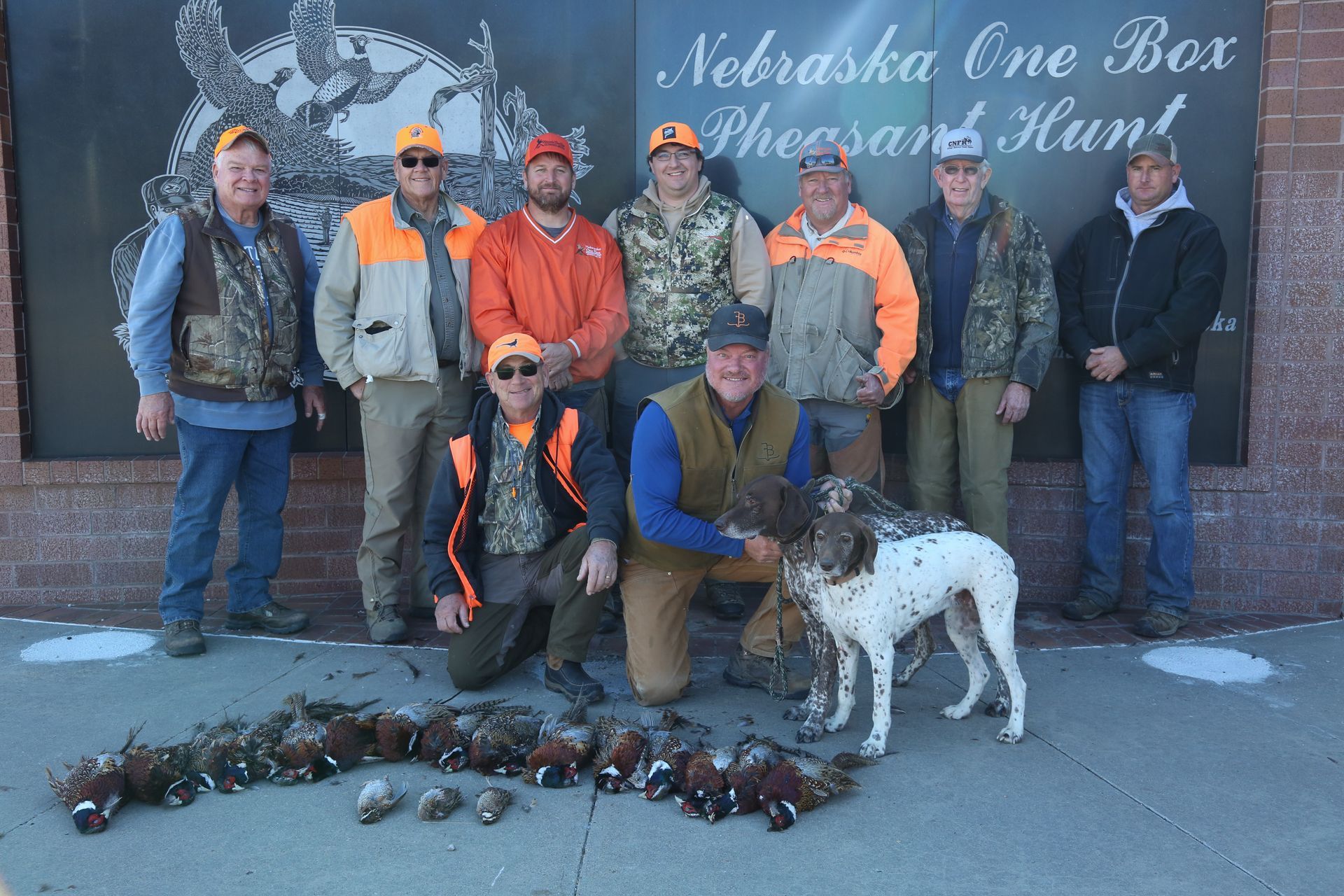 Group of hunters in orange vests with dogs and harvested pheasants, posing outdoors.