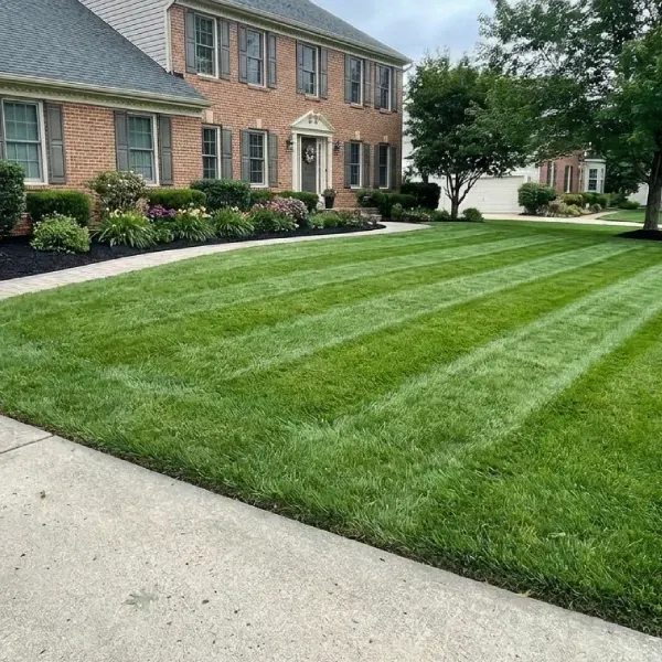 lawn fertilization service in bowie md