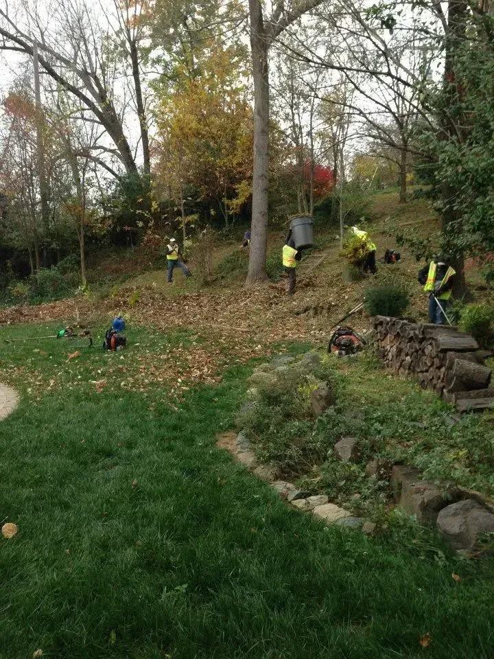 residential commercial fall cleanup bowie md