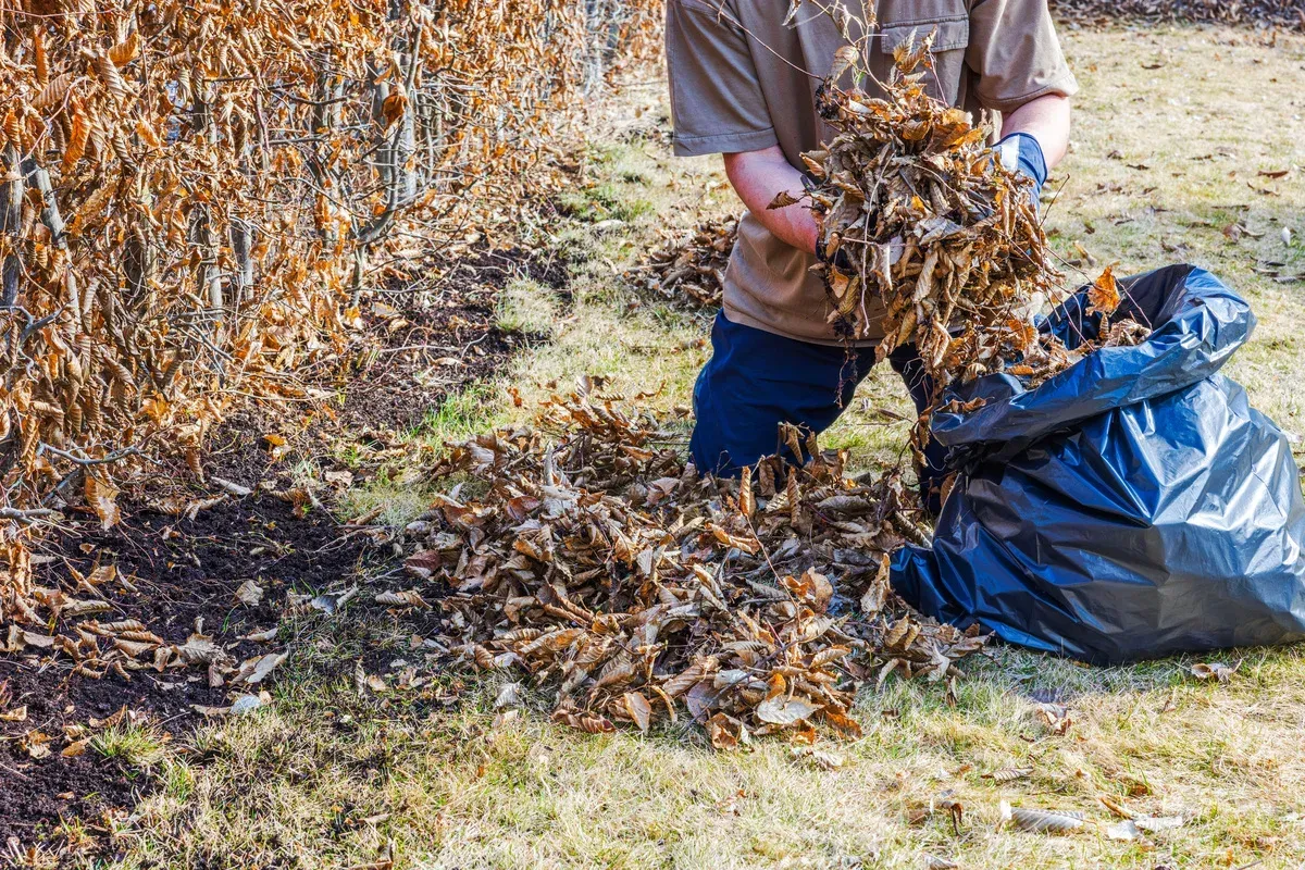 spring cleanup process services bowie md