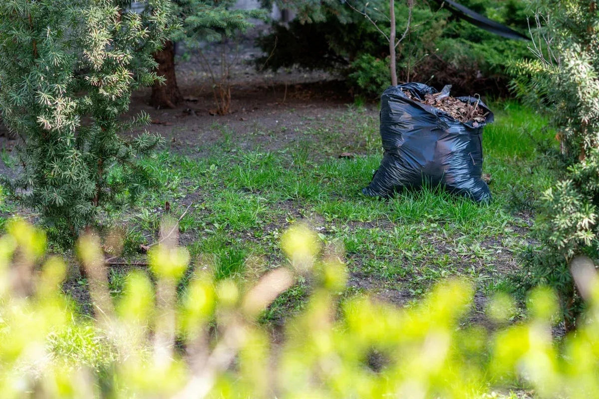 signs you need spring cleanup service bowie md