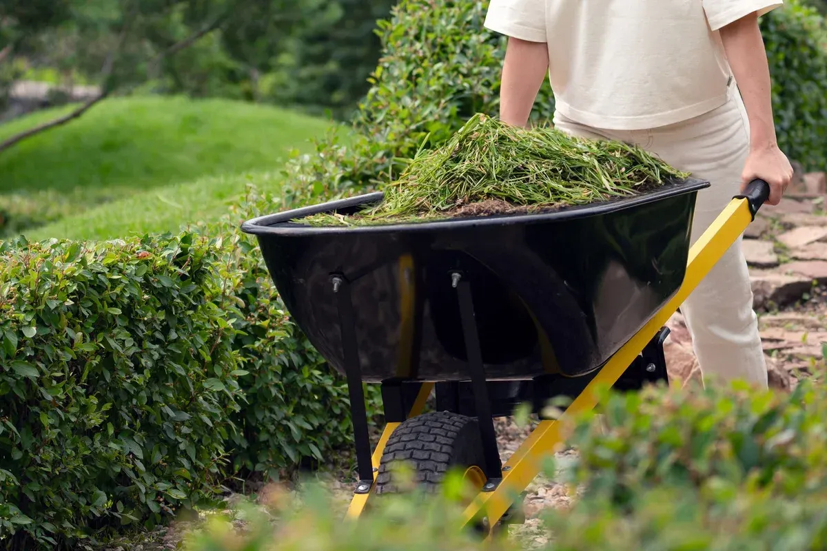 spring cleanup services importance bowie md