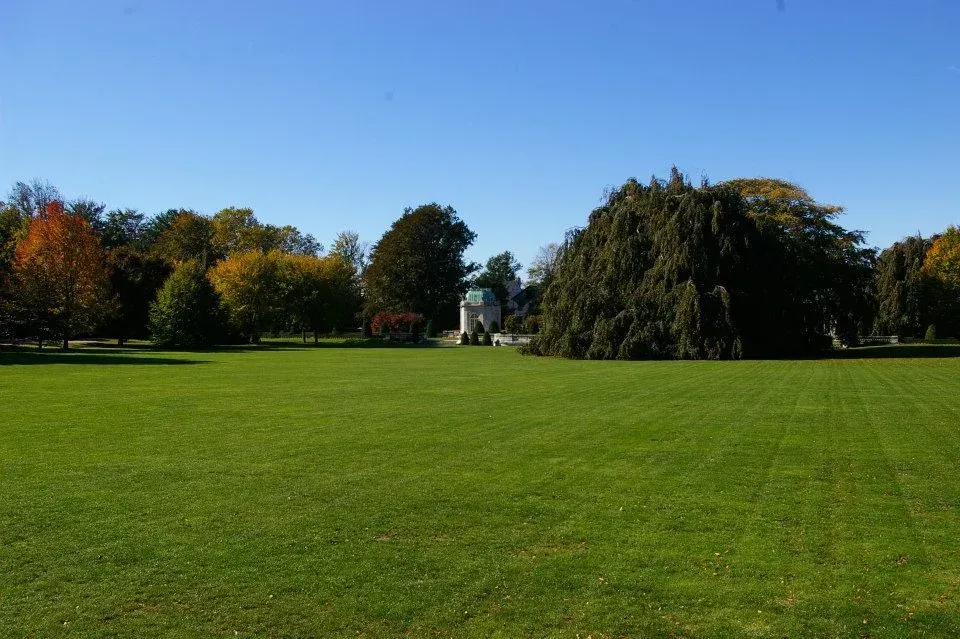weekly lawn maintenance services bowie md