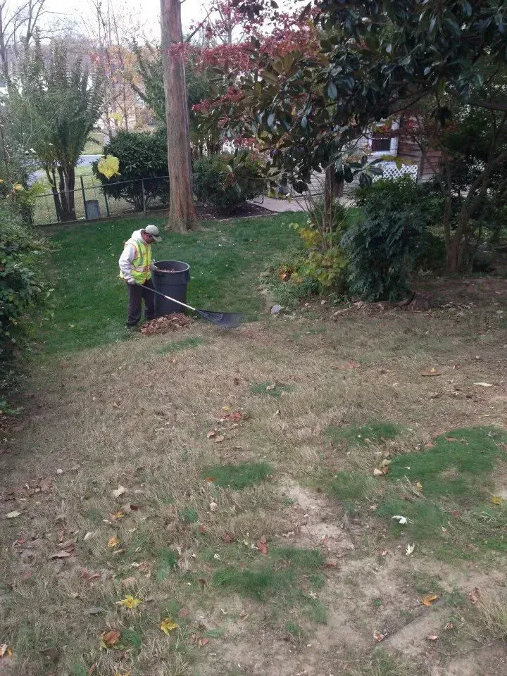 weekly leaf removal service bowie md