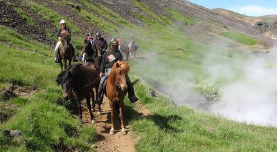 Horseback riding Iceland