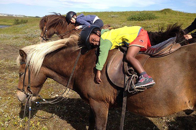 Horse riding Iceland