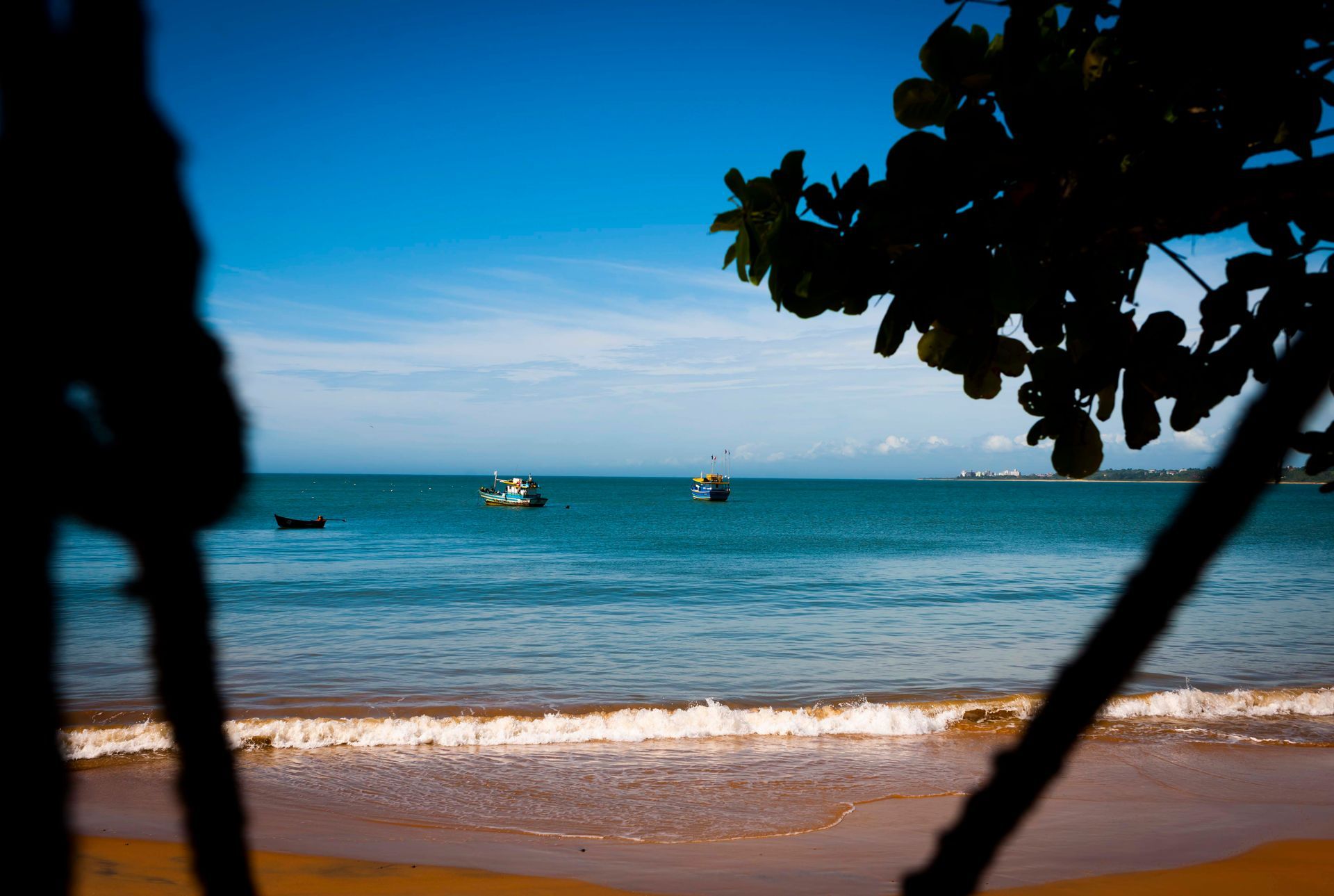 Uma praia com barcos na água e uma árvore em primeiro plano Pousada Pau Brasil