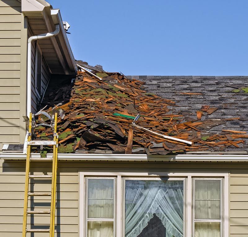 Damaged Roof — Petal, MS — Anthony Pearson Roofing