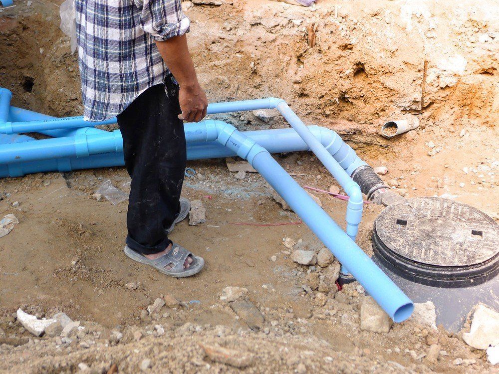 autospurgo a Cosenza