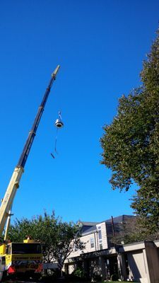 A crane lifting a specialized circular vent or mechanical component high above the surrounding trees.