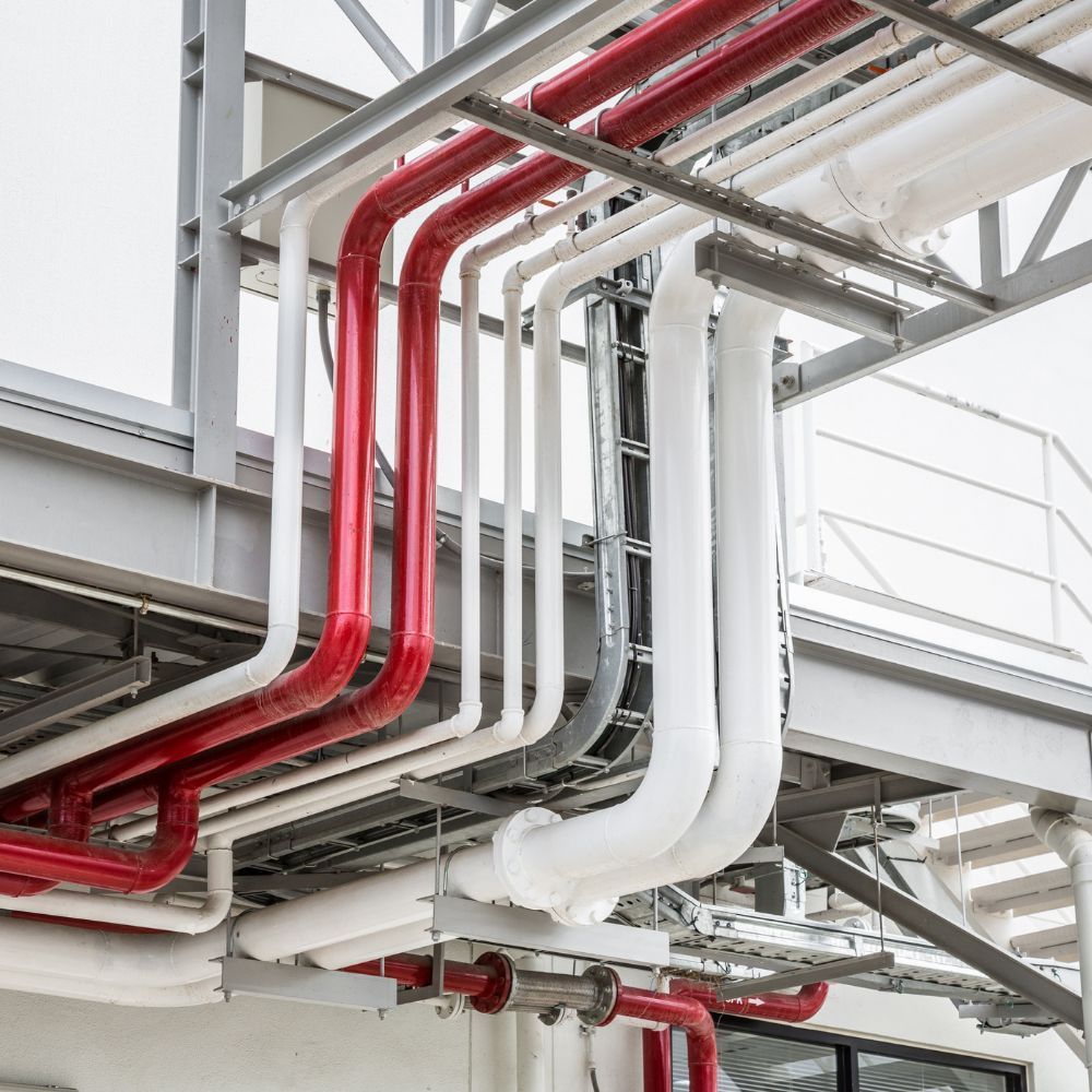Network of insulated fire suppression pipes and water lines running along a commercial ceiling.