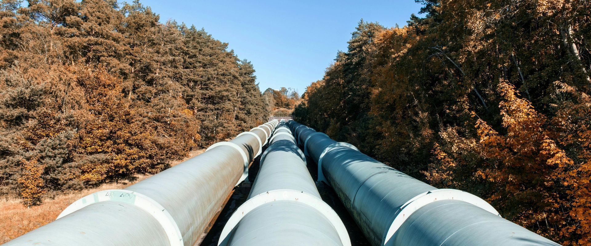 Multiple parallel rows of large grey industrial pipes stretching through a cleared forested area under a clear blue sky.