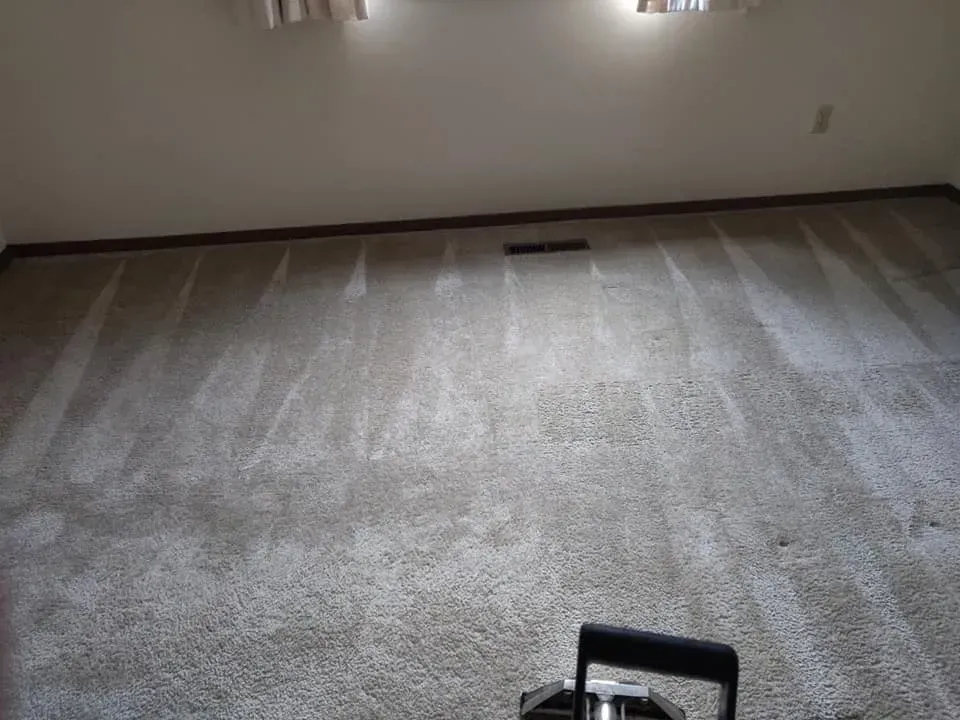 A room with a carpet and a vacuum cleaner on the floor.