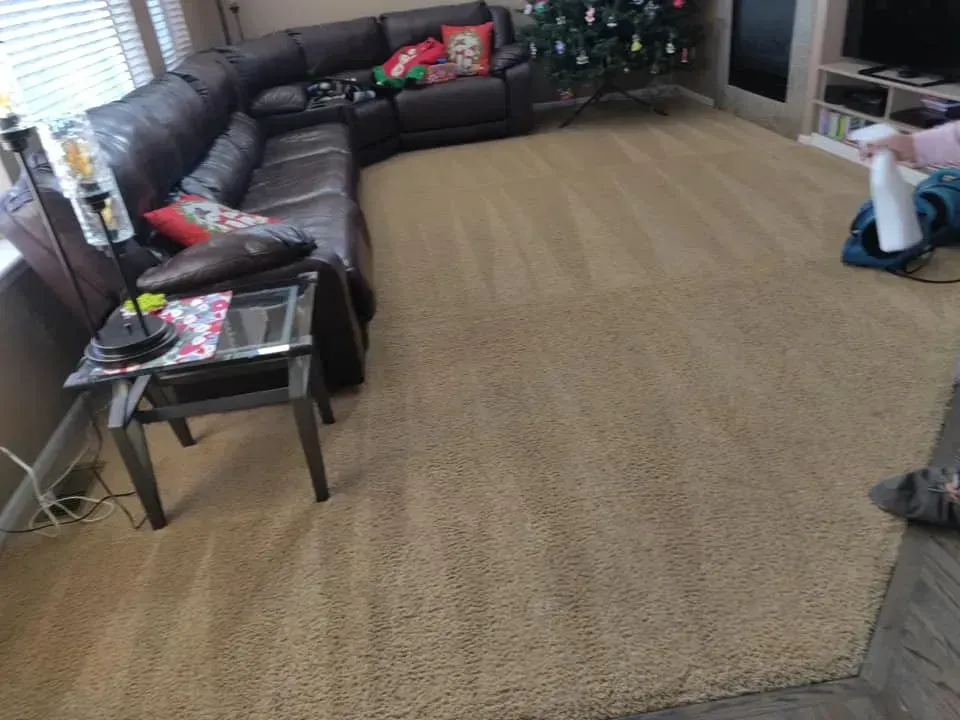 A living room with a couch , table , and a christmas tree.