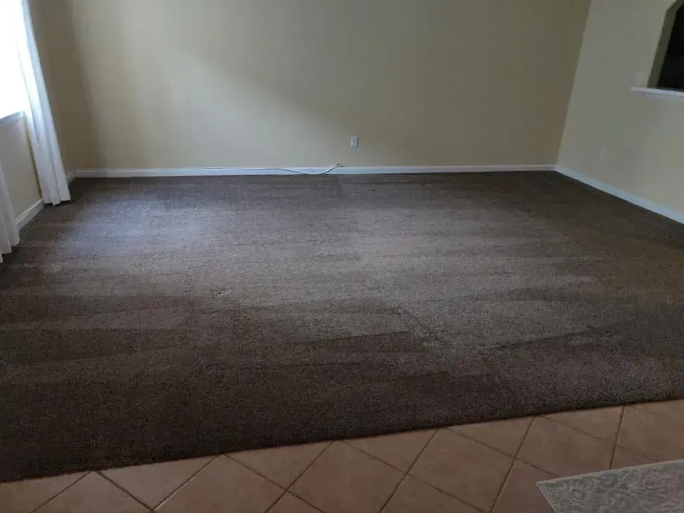 A living room with a large carpeted floor and a window.