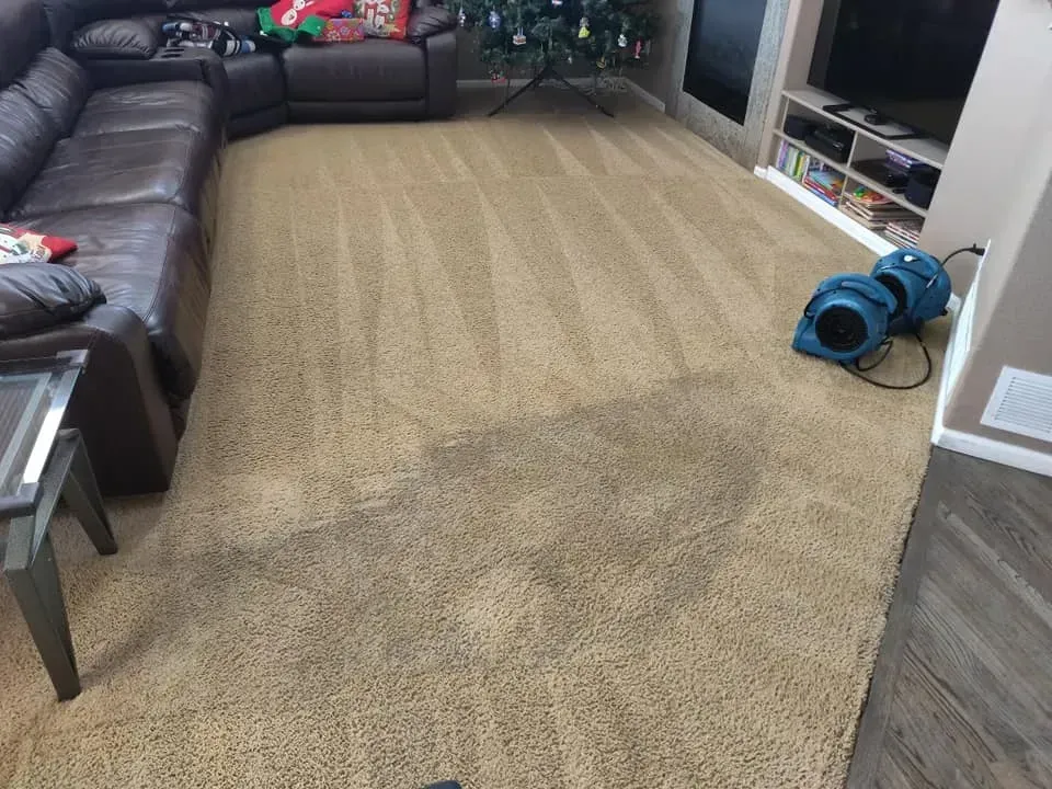 A living room with a couch and a christmas tree.