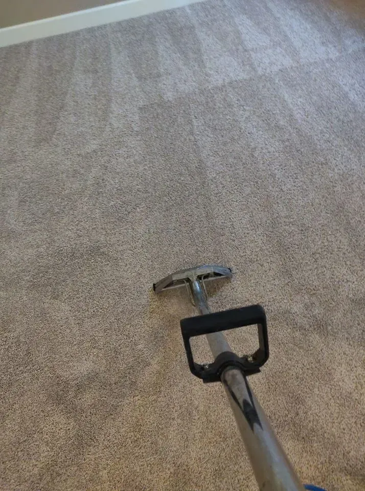 A vacuum cleaner is cleaning a carpet in a room.