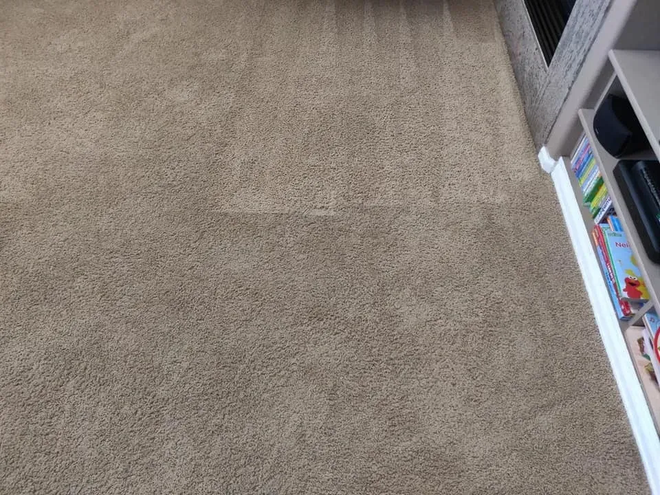 A close up of a carpeted floor in a living room.