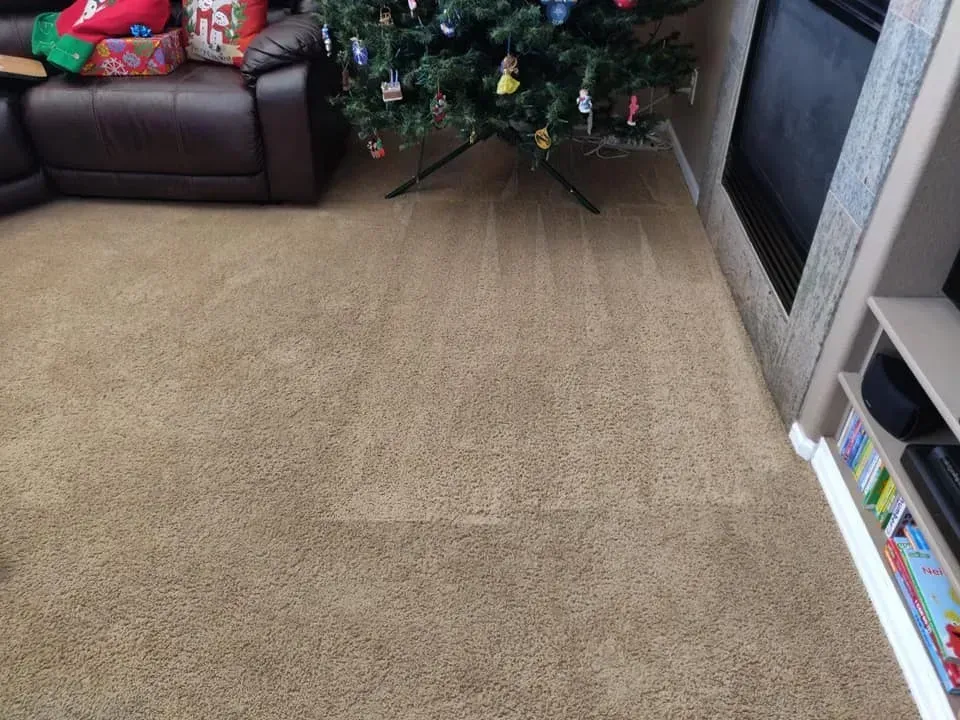 A living room with a christmas tree and a fireplace