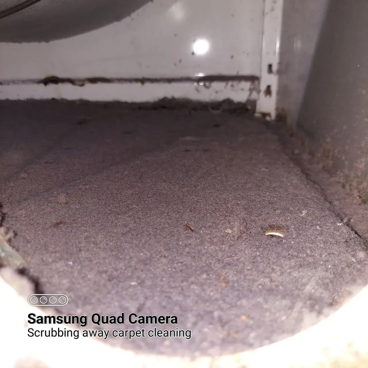 A samsung quad camera is scrubbing away carpet cleaning