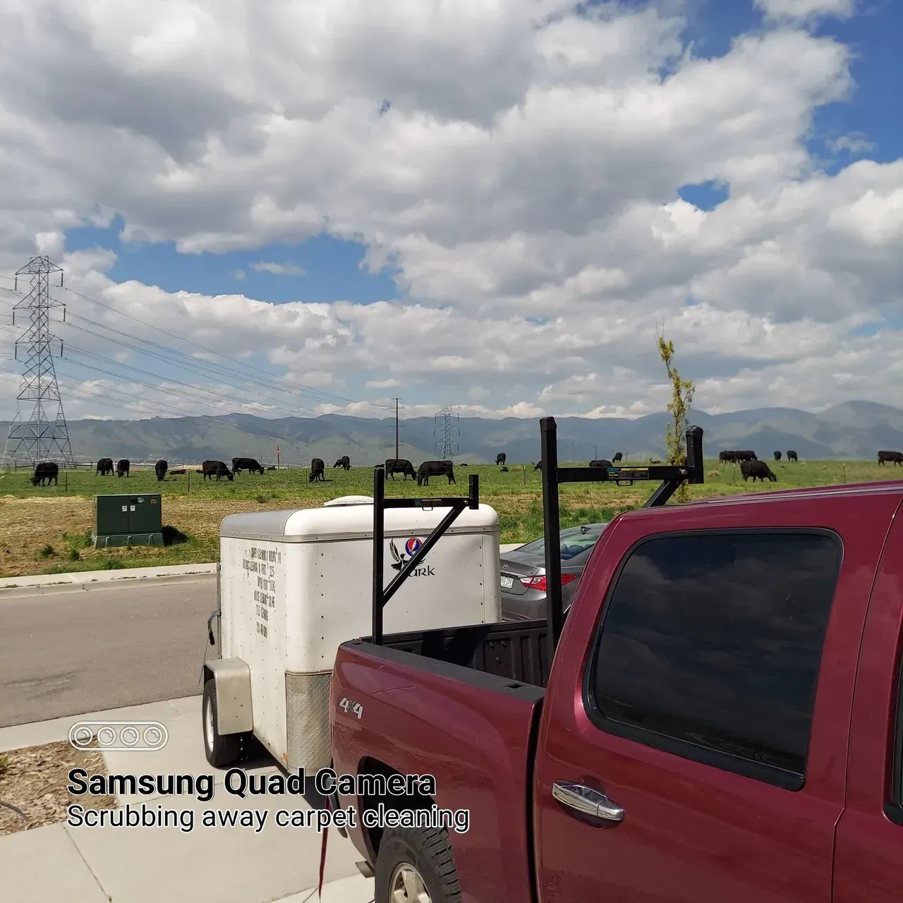 A red truck is parked in front of a field of cows.