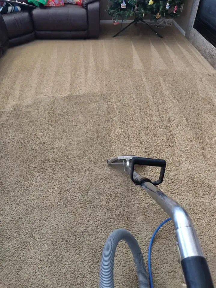A vacuum cleaner is cleaning a carpet in a living room.