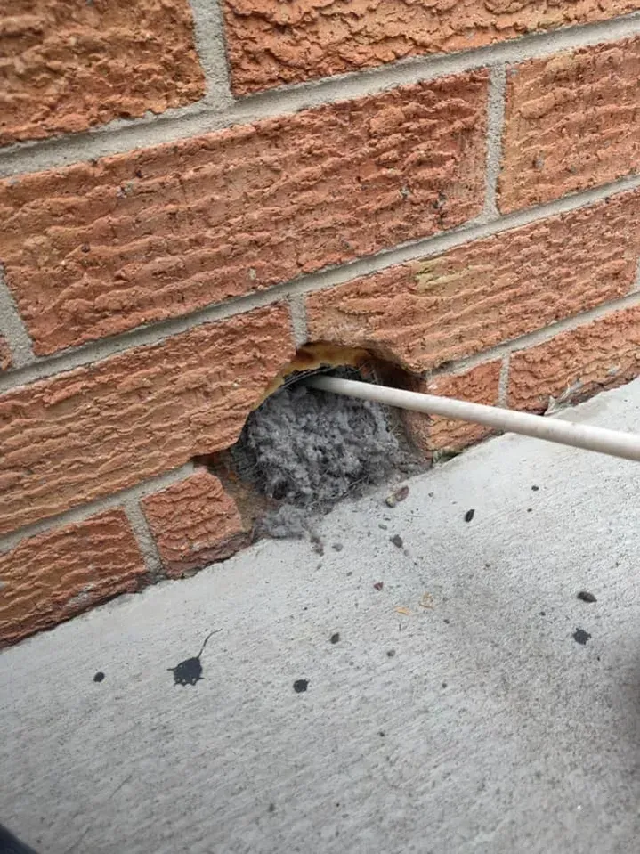 A brick wall with a hole in it and a pipe sticking out of it.