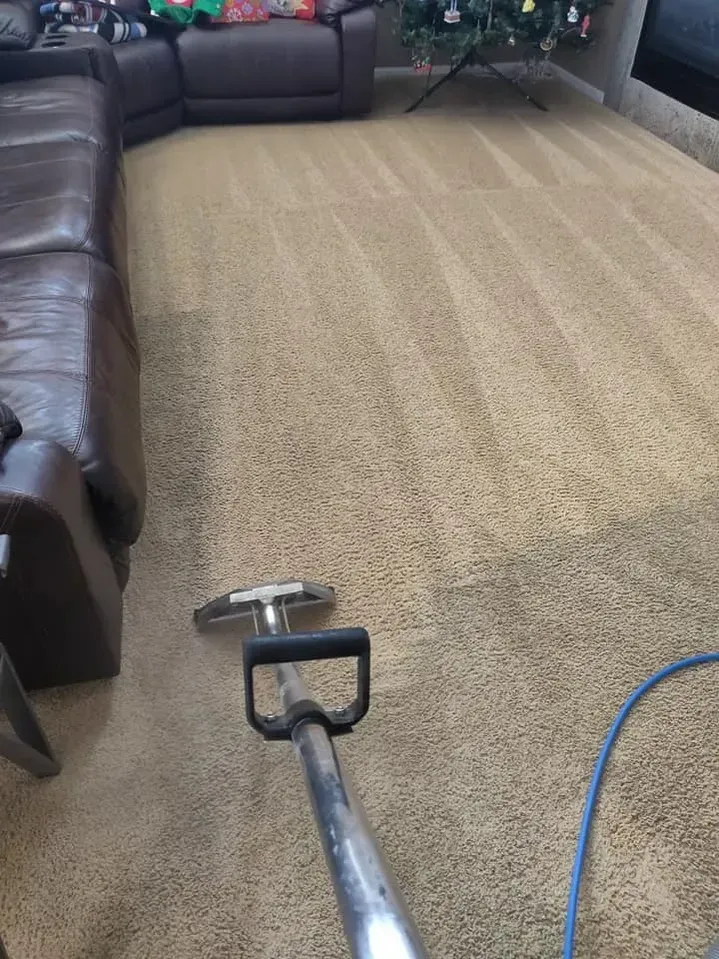 A vacuum cleaner is cleaning a carpet in a living room.