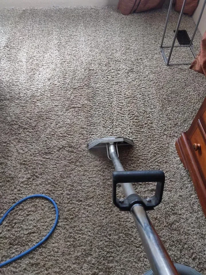 A vacuum cleaner is cleaning a carpet in a living room.