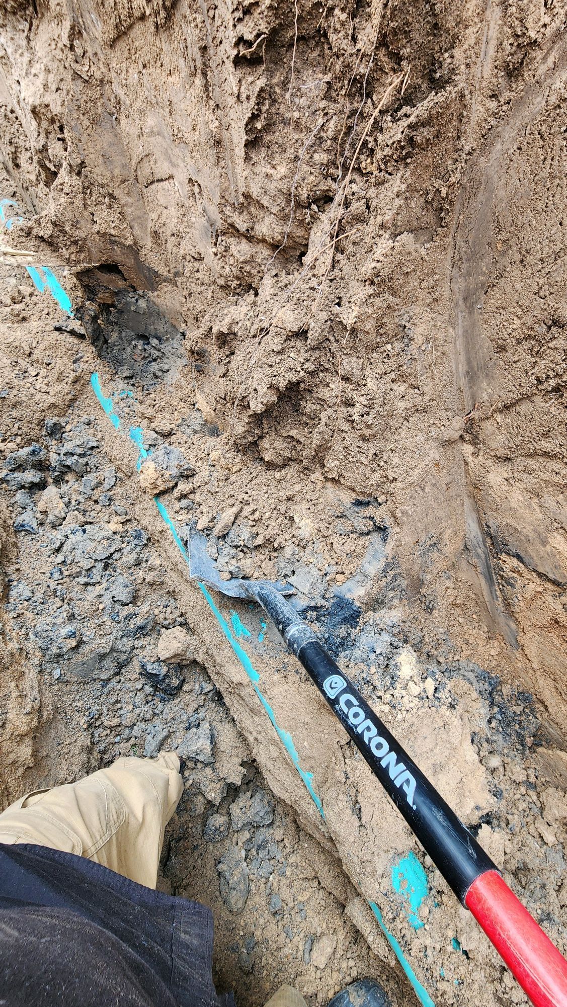 A person is digging in the dirt with a shovel.