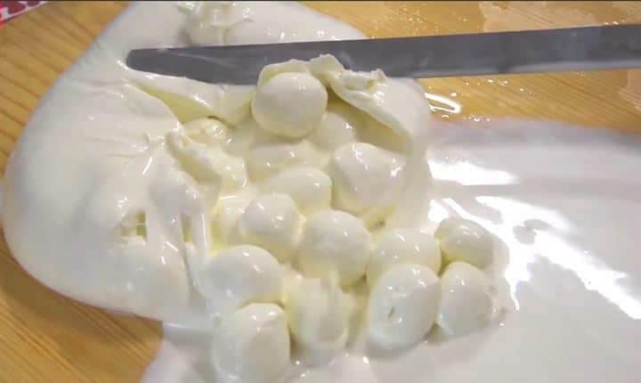 Bocconcini
