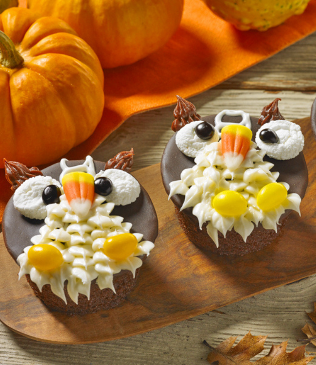 chocolate cupcakes decorated as owls