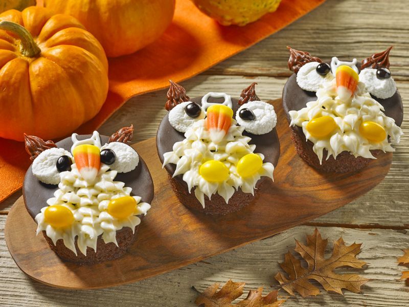 chocolate cupcakes decorated to look like owls on a wooden board with a pumpkin in the background