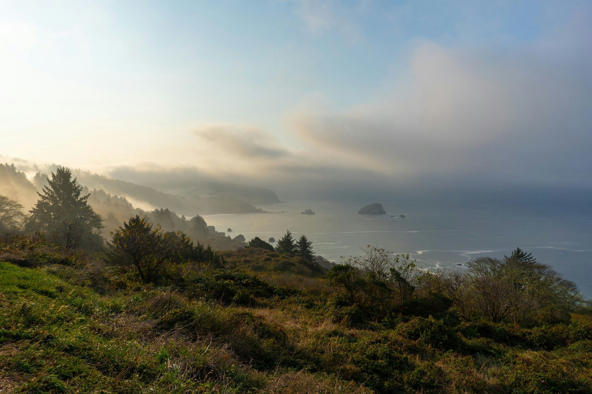 Coastal view with fog rolling over ocean and forest. Hazy blue sky and grassy foreground.