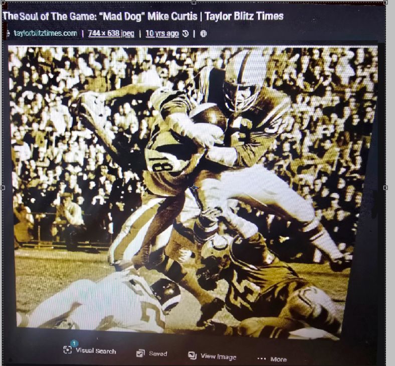 Floral Park Pluming & Heating --
My namesake & Life Coach Mike Mad Dog Curtis #32 Baltimore Colts MLB