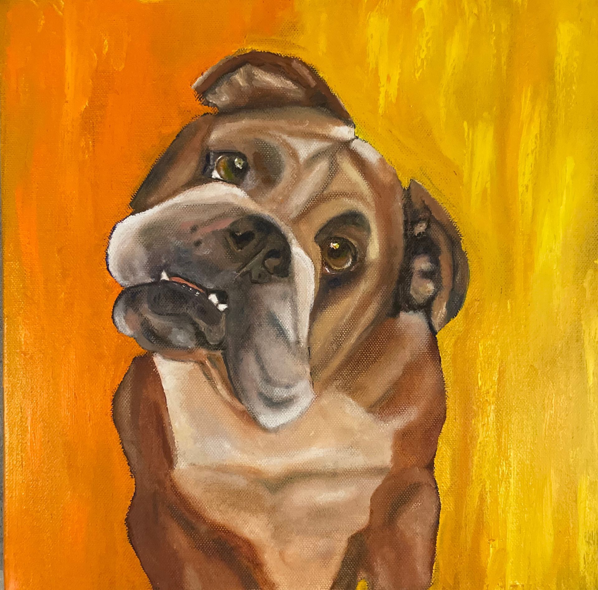 English Bulldog