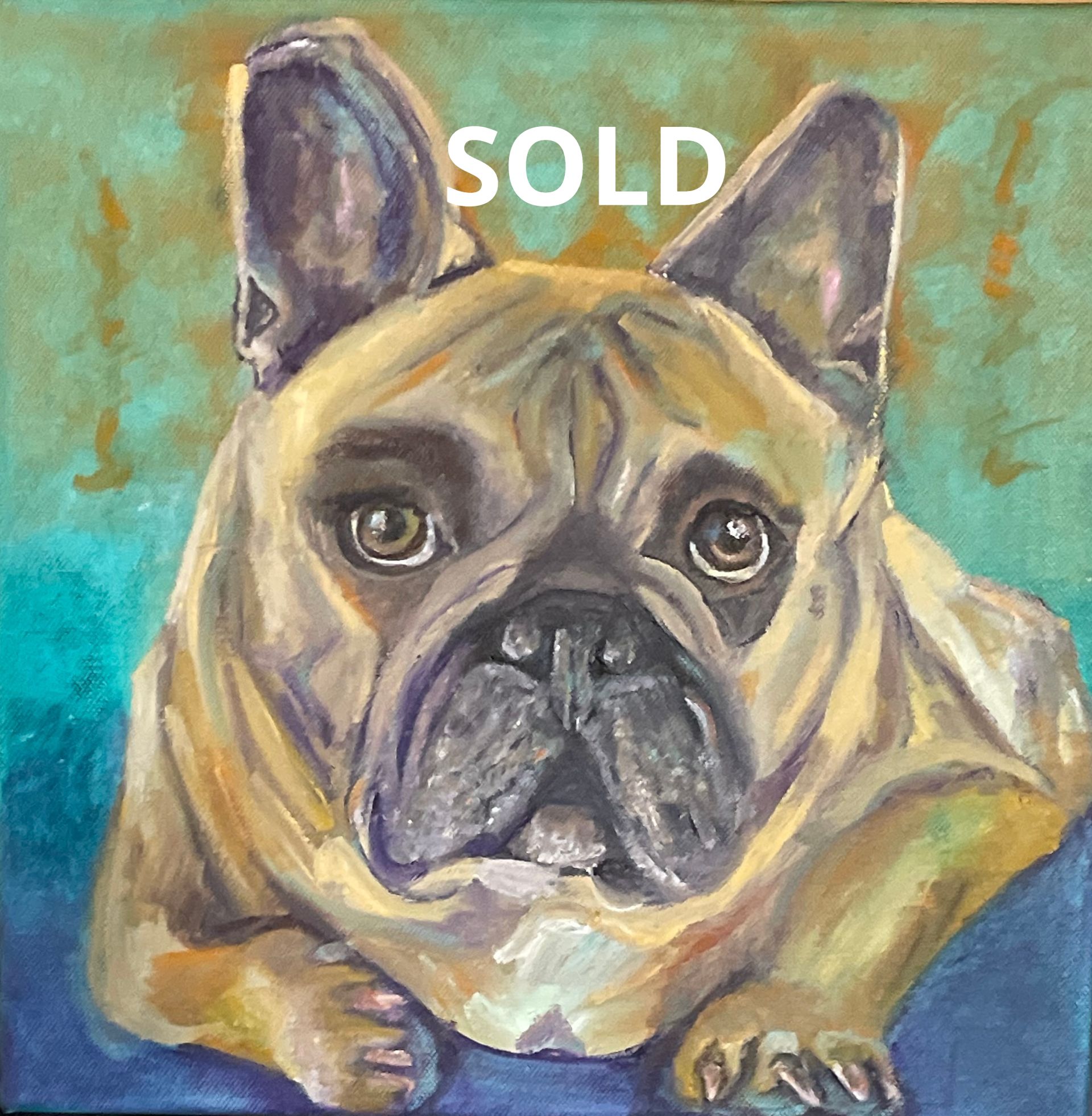 French Bull Dog