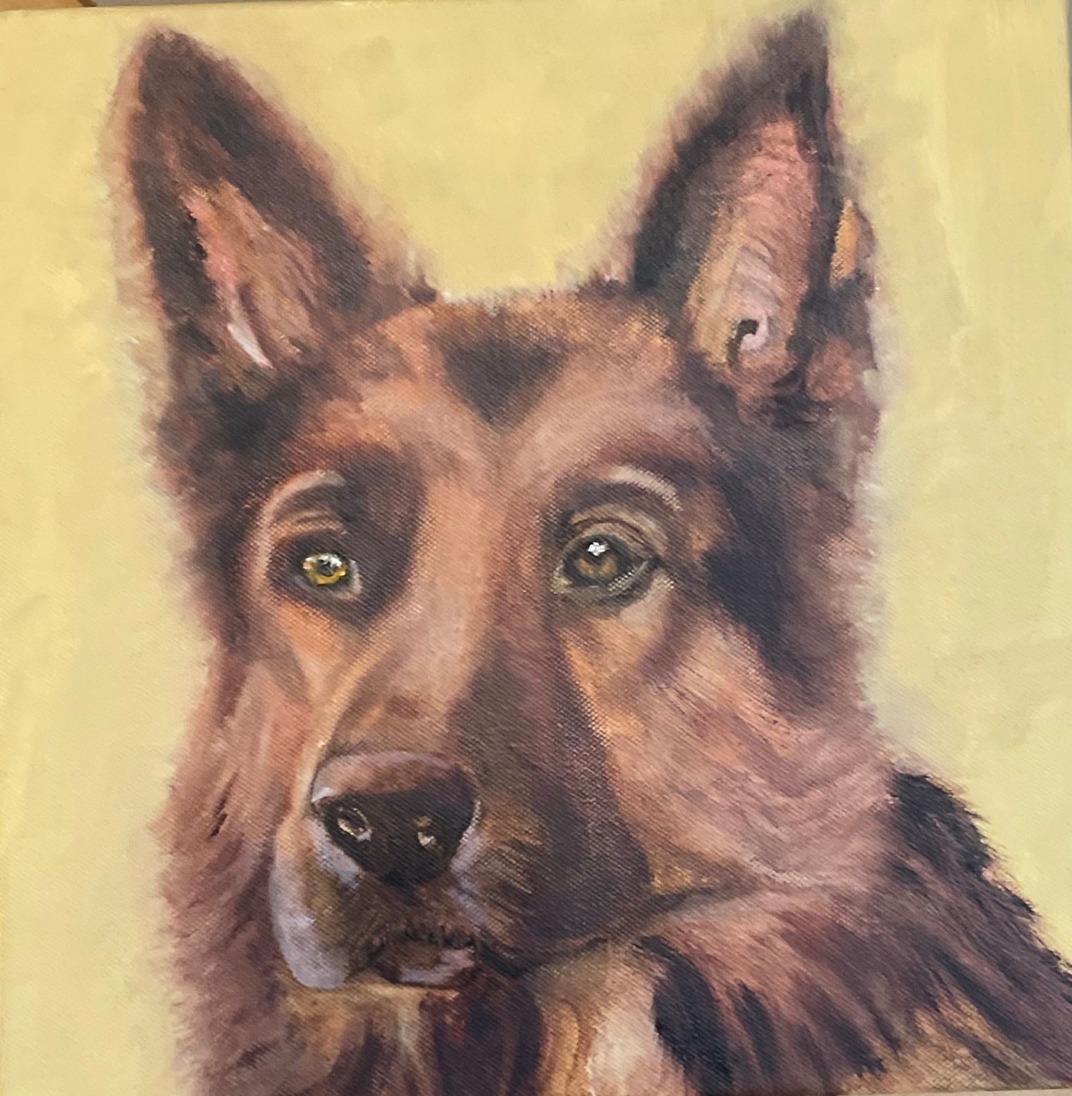 German Shepherd