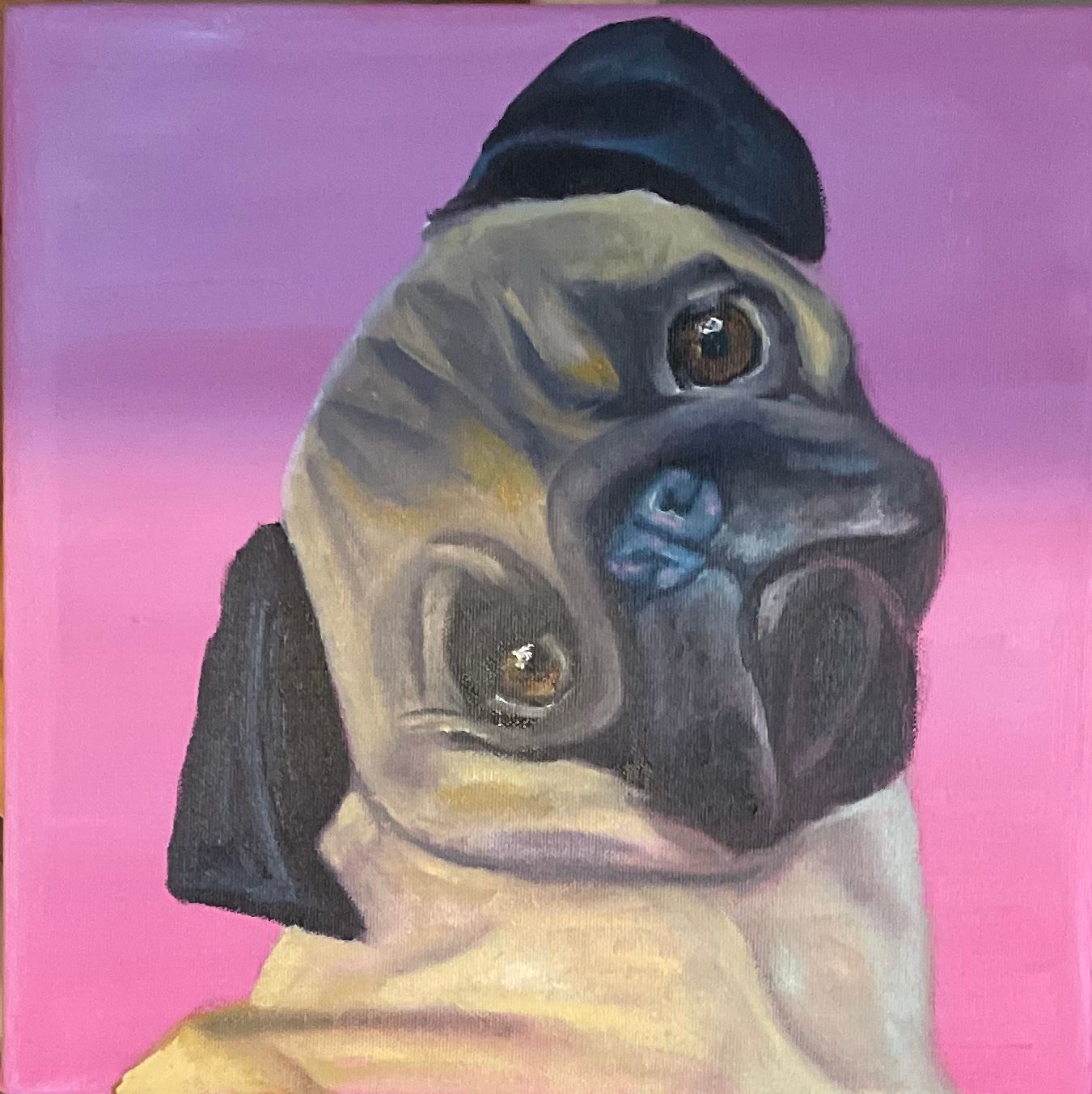 Pug