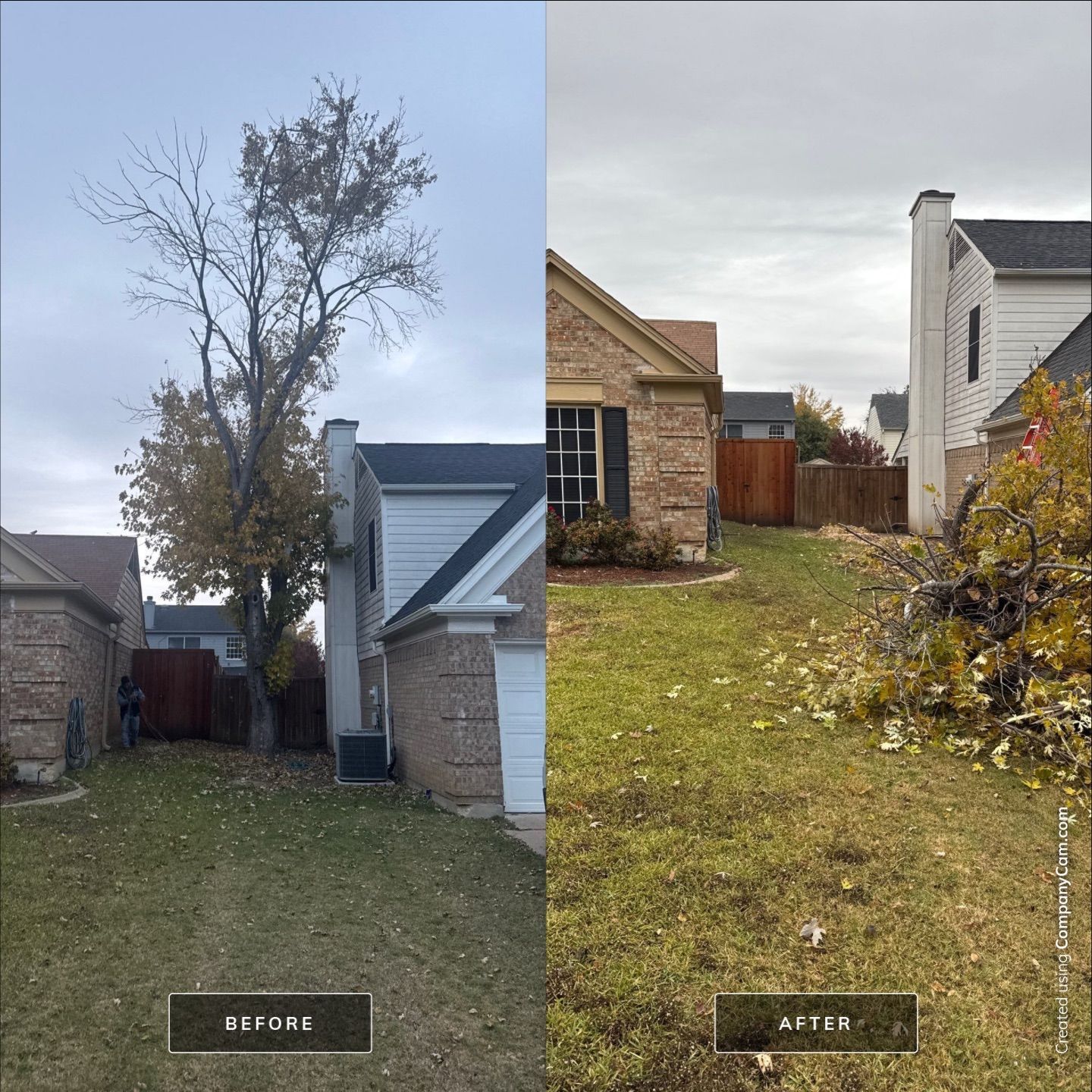 A before and after picture of a tree being removed from a house.