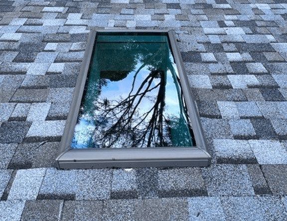 A skylight on a roof with a tree reflected in it